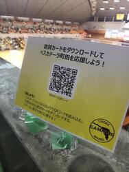 DSCが応援するペスカドーラ町田、ホーム戦で見事勝利！