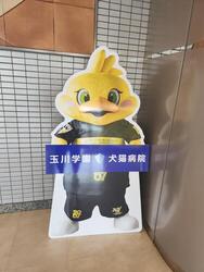 DSCが応援するペスカドーラ町田、ホーム戦で見事勝利！